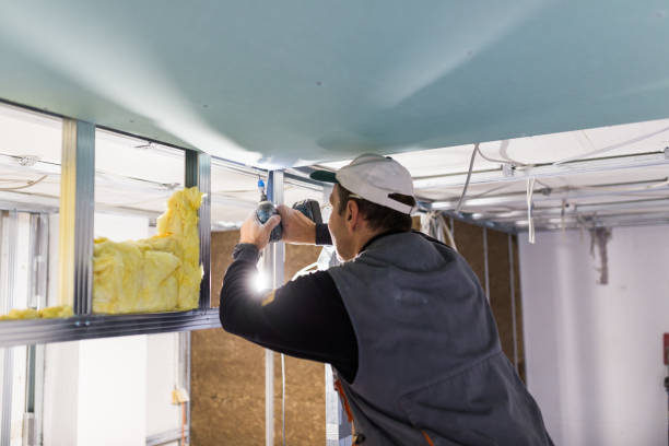 Best Geographic-Specific Insulation Services in Fountain Inn, SC