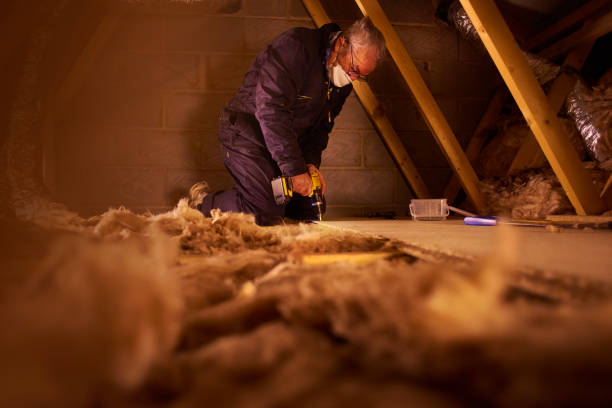 Best Specialized Insulation Services in Fountain Inn, SC
